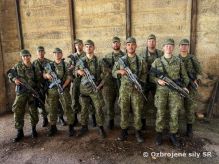 Spoločné cvičenie čestných stráží AČR a OS SR